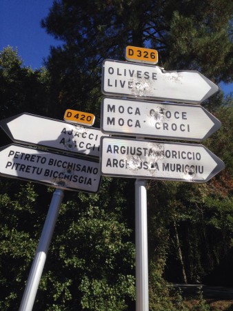 Il n'y a qu'en Corse où l'on peut voir ceci ..